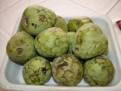 Photo de Cherimola, Cherimoya (Annona cherimola), Canopée