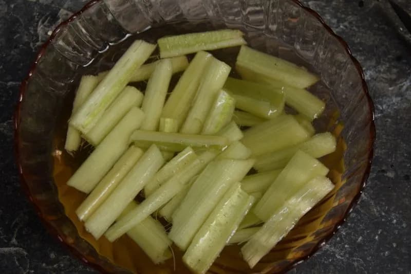 Cynara cardunculus - Photo 6 sur 12